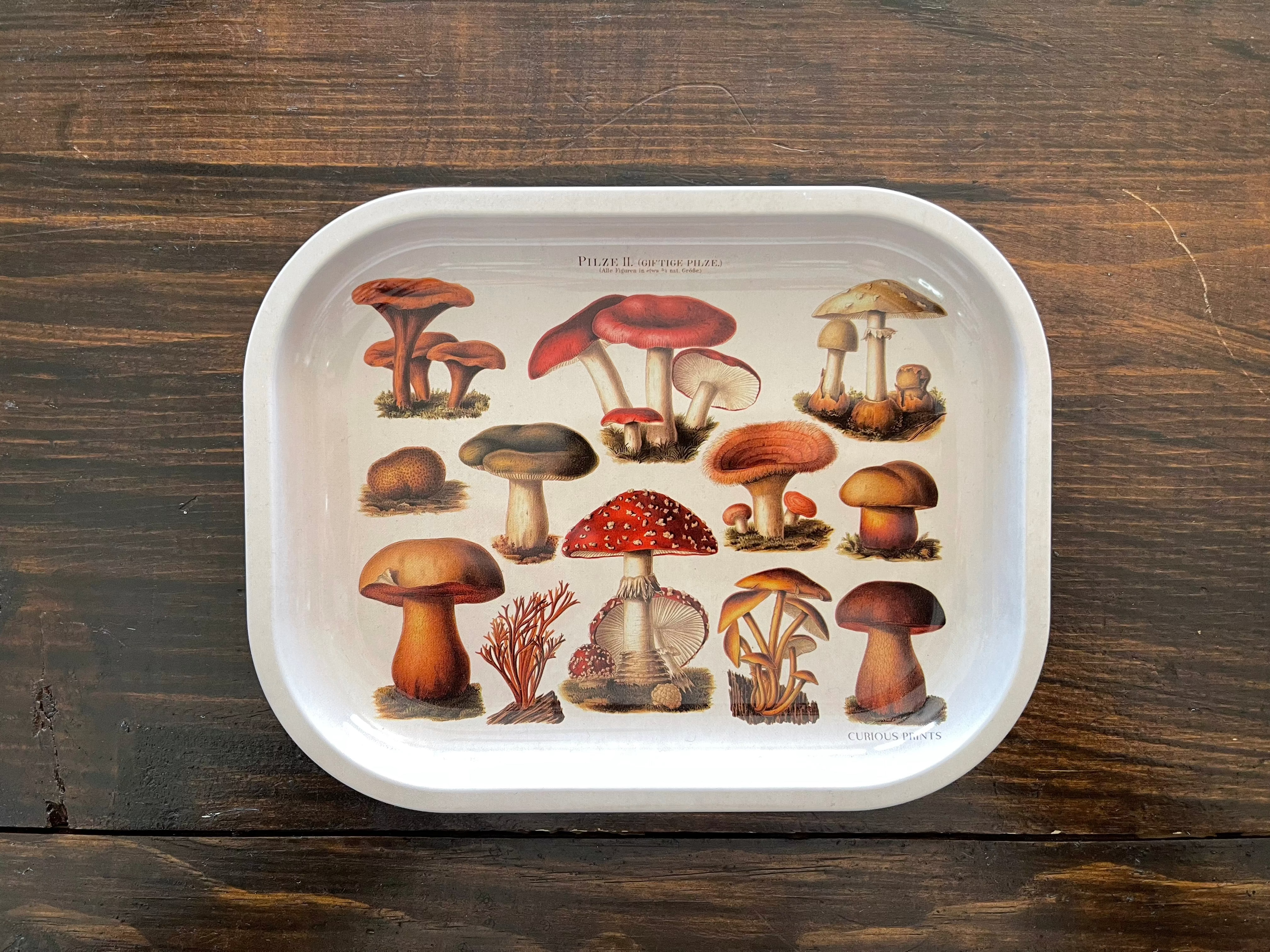 Tan Mushroom Trinket Tray