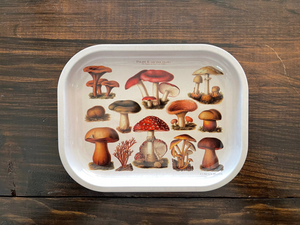 Tan Mushroom Trinket Tray