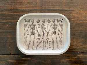 Skeleton Trinket Tray