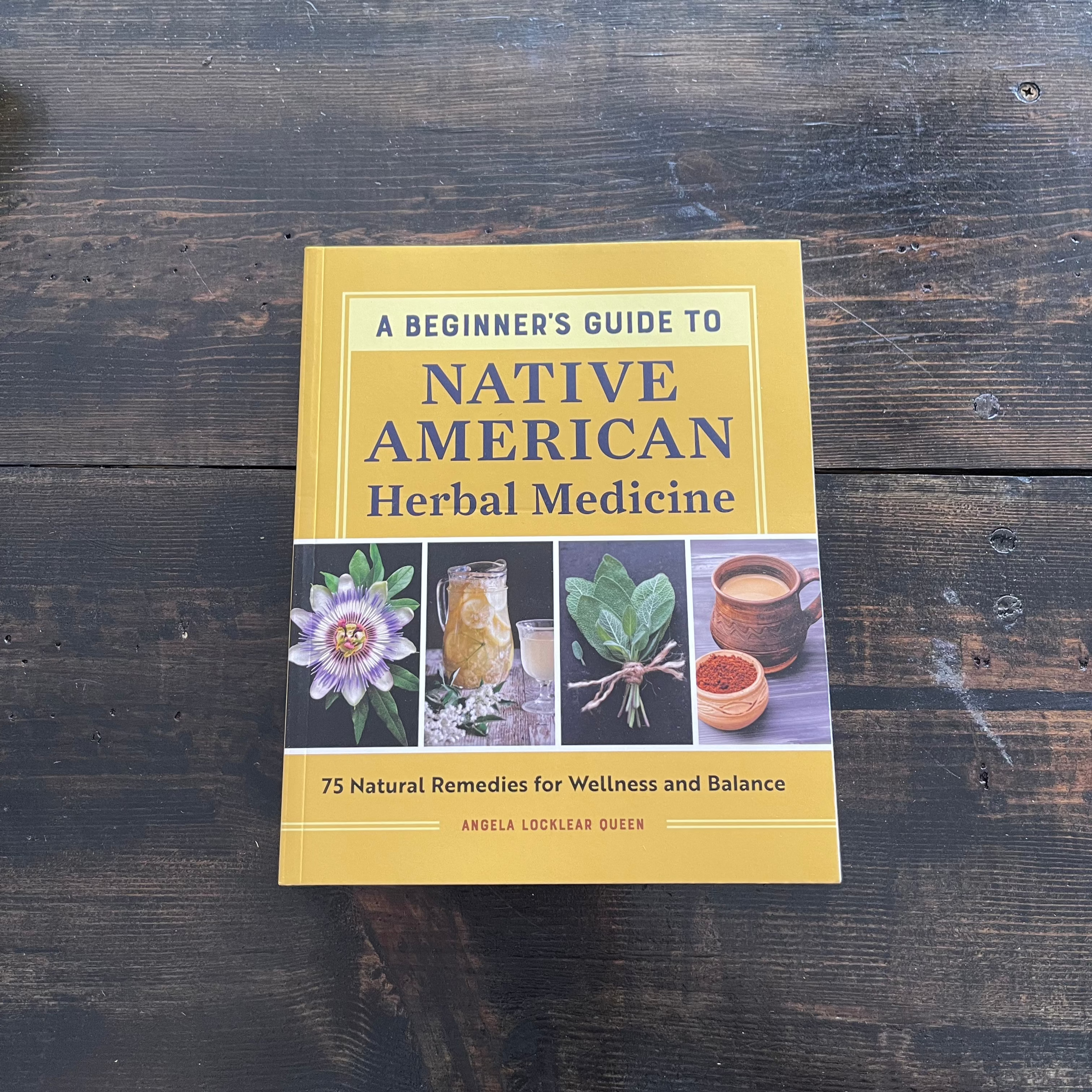 Beginner's Guide to Native American Herbal Medicine