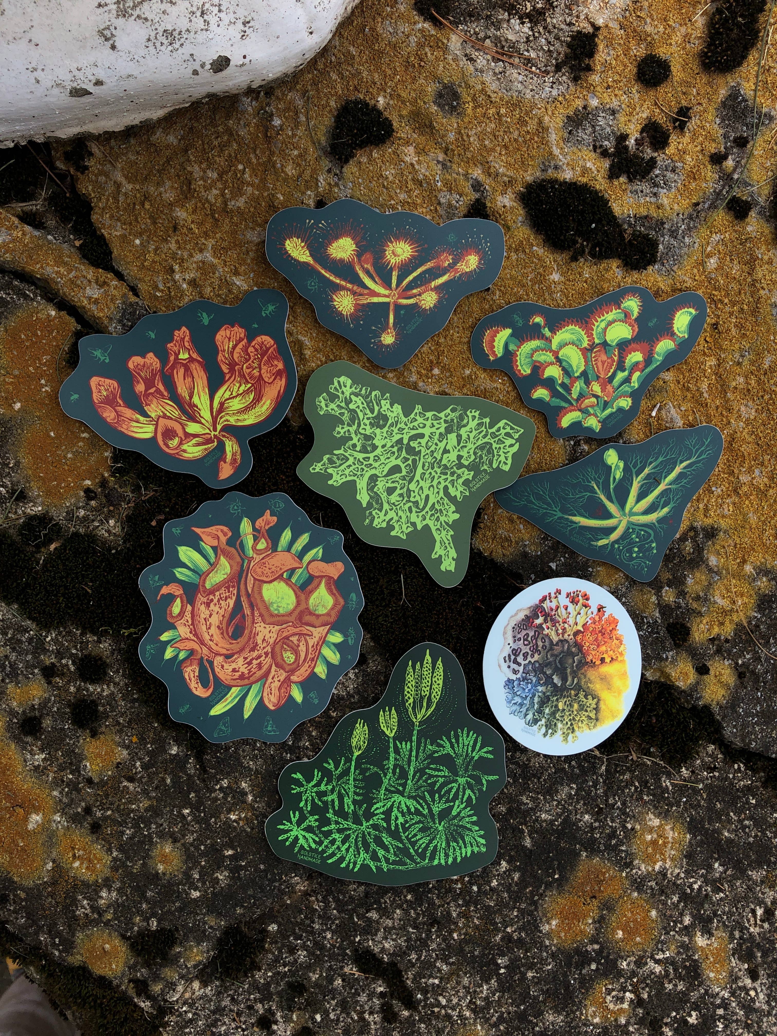 Venus Flytrap Sticker