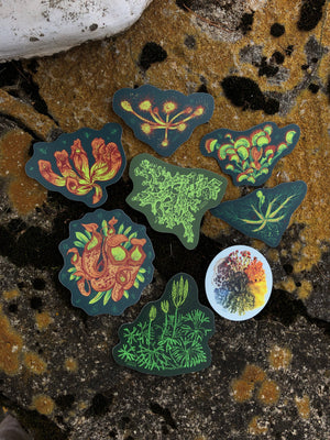Venus Flytrap Sticker