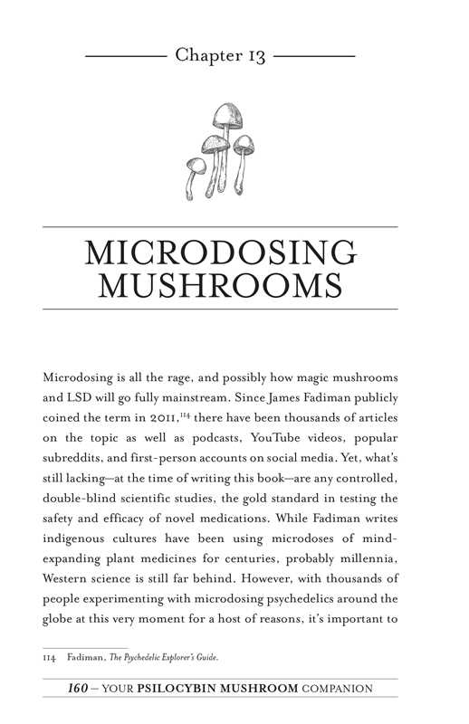 Your Psilocybin Mushroom Companion by Michelle Janikian