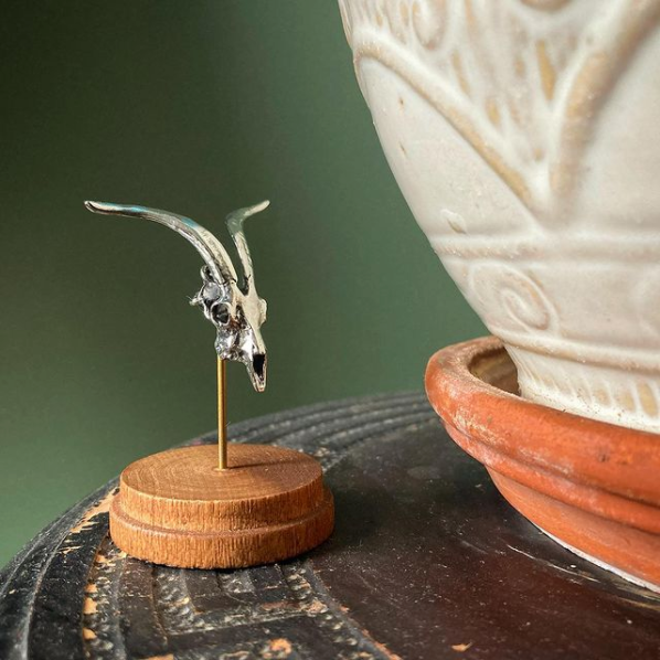 Goat: None / Yellow Bronze