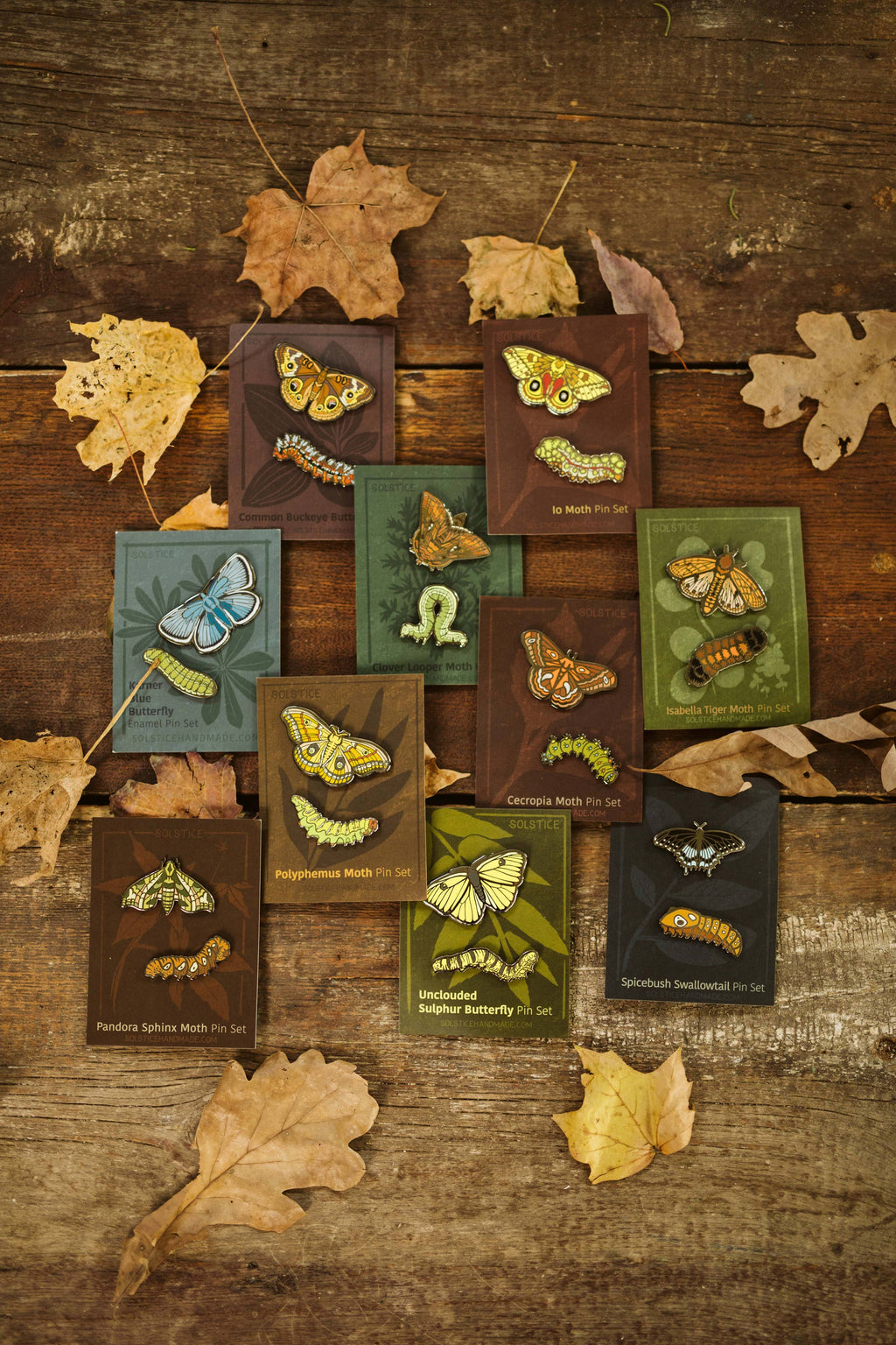 Butterfly + Moth Pin Set