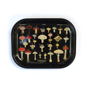 Black Mushroom Trinket Tray