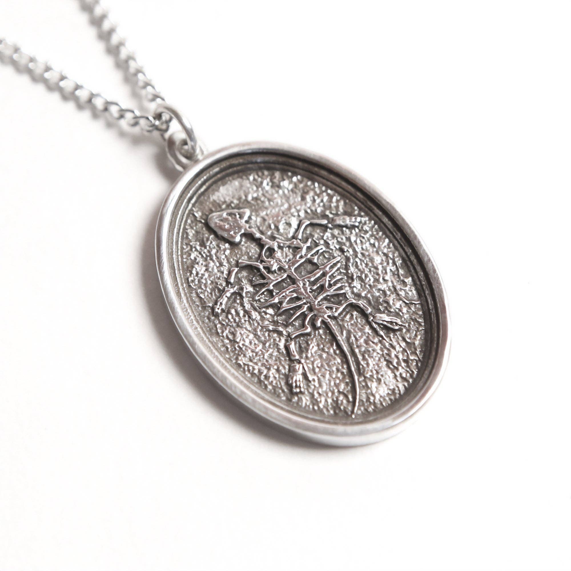 Fossil Turtle: None / Yellow Bronze