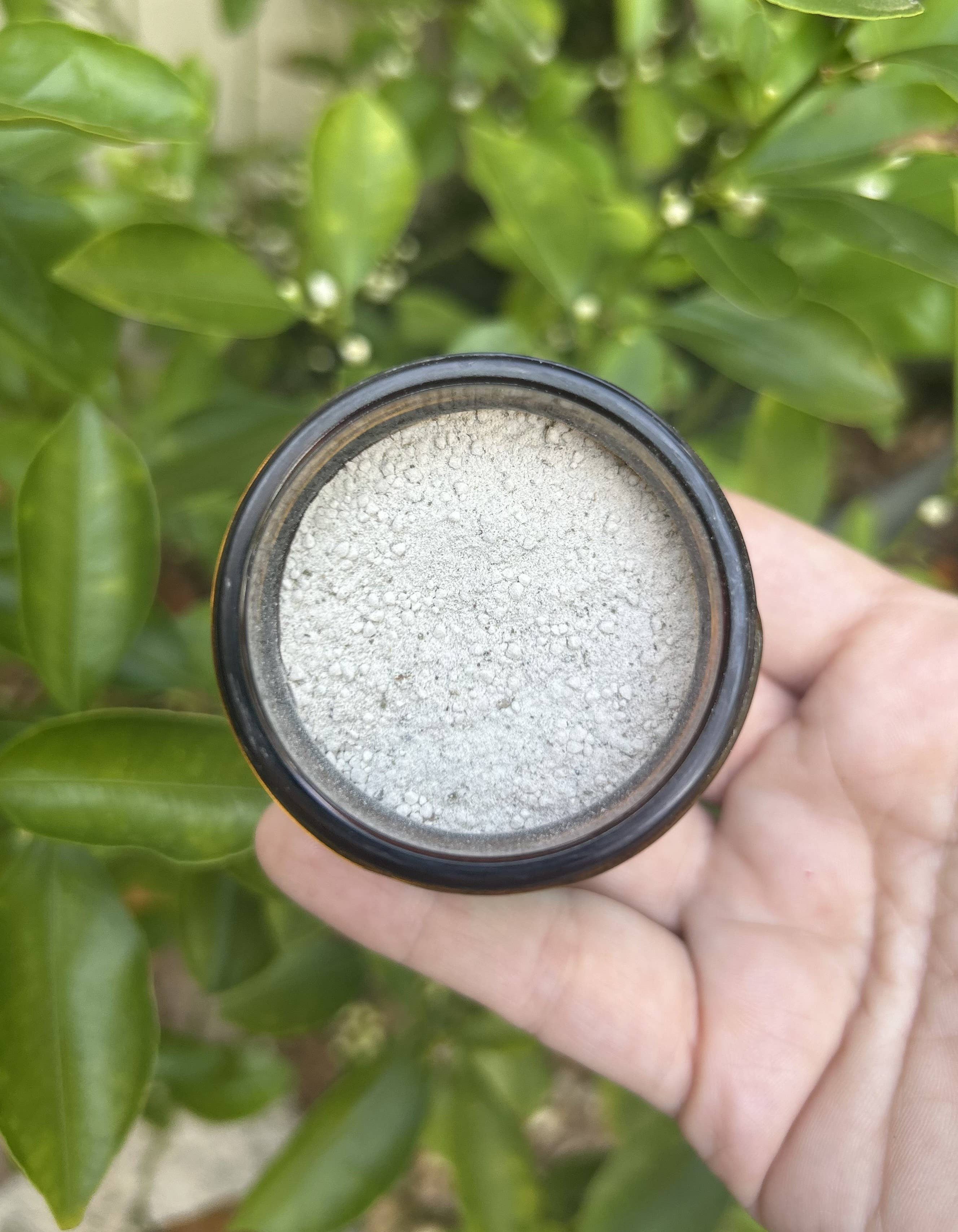 Sweet Mint Remineralizing Tooth Powder