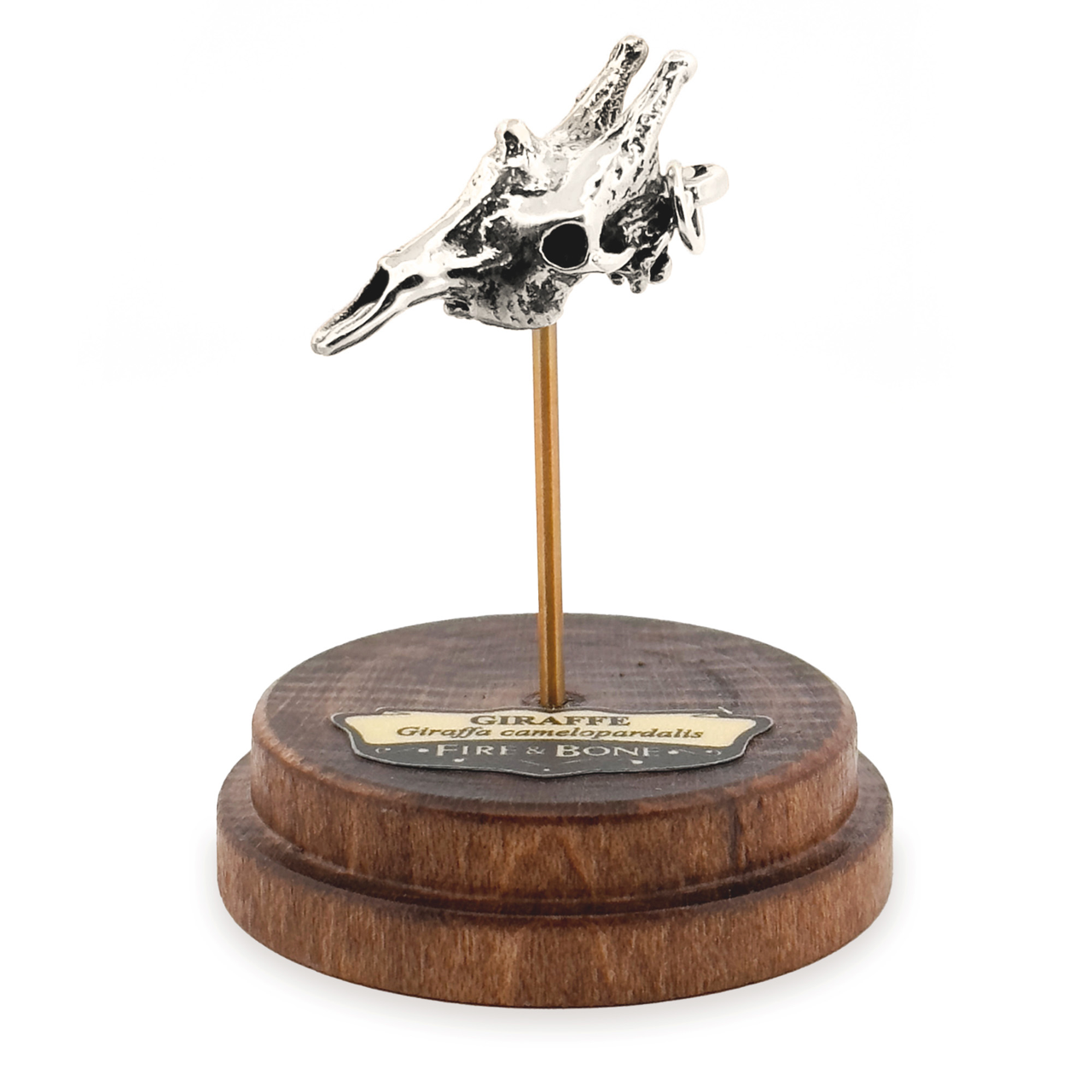 Giraffe: None / White Bronze