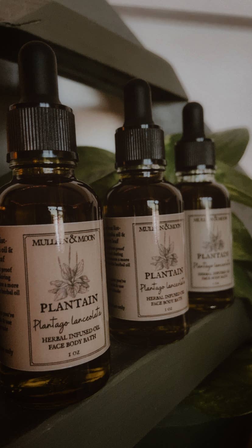 Plantain herbal oil