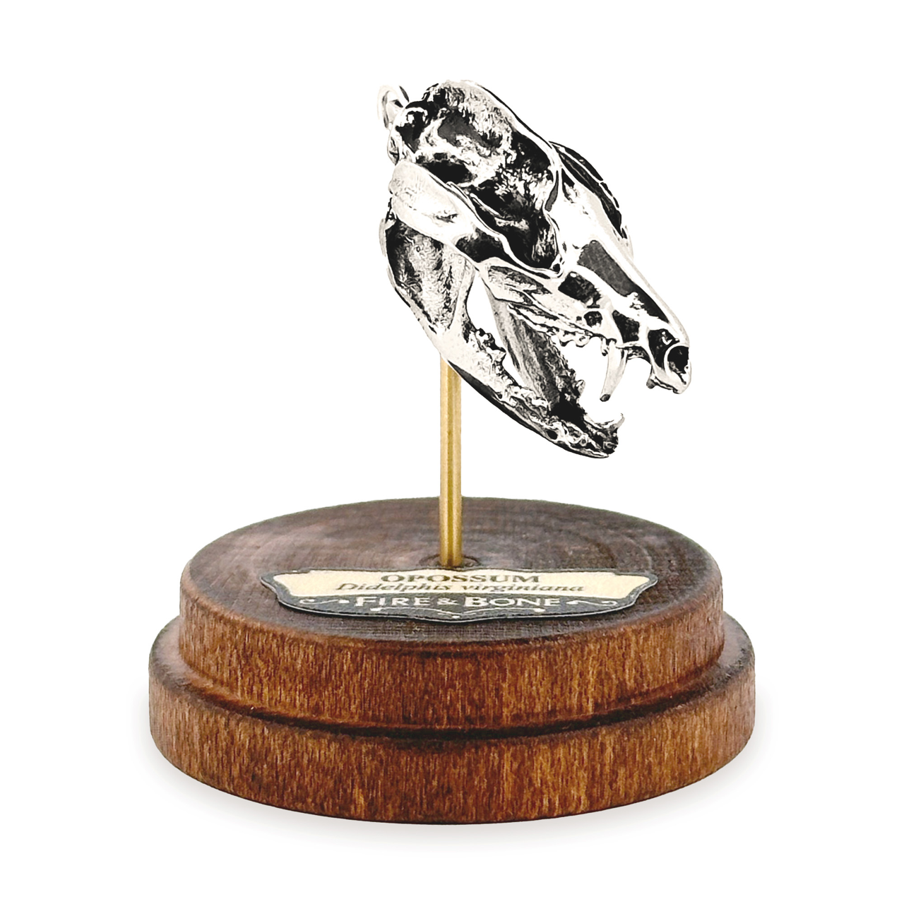 Opossum: None / White Bronze