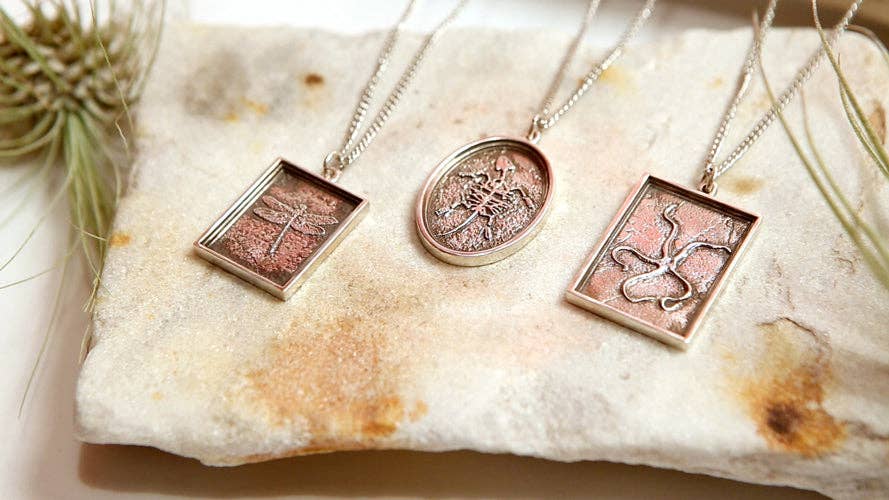 Fossil Turtle: None / Yellow Bronze