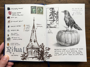 The Astronomer Journal