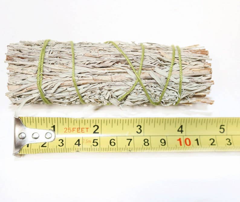 Blue Sage Smudge Stick (4 in.)