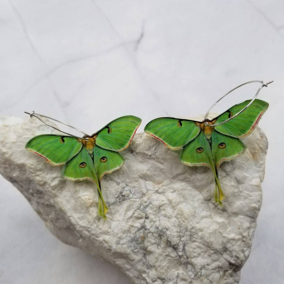 Acrylic Luna Moth Hoop Earrings