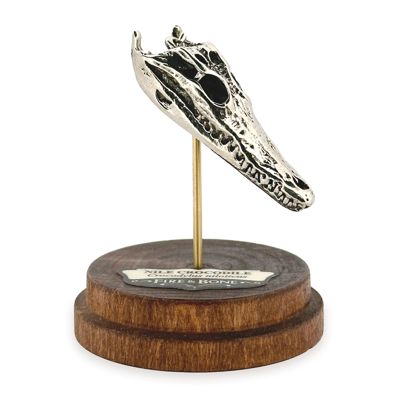 Nile Crocodile: None / Yellow Bronze