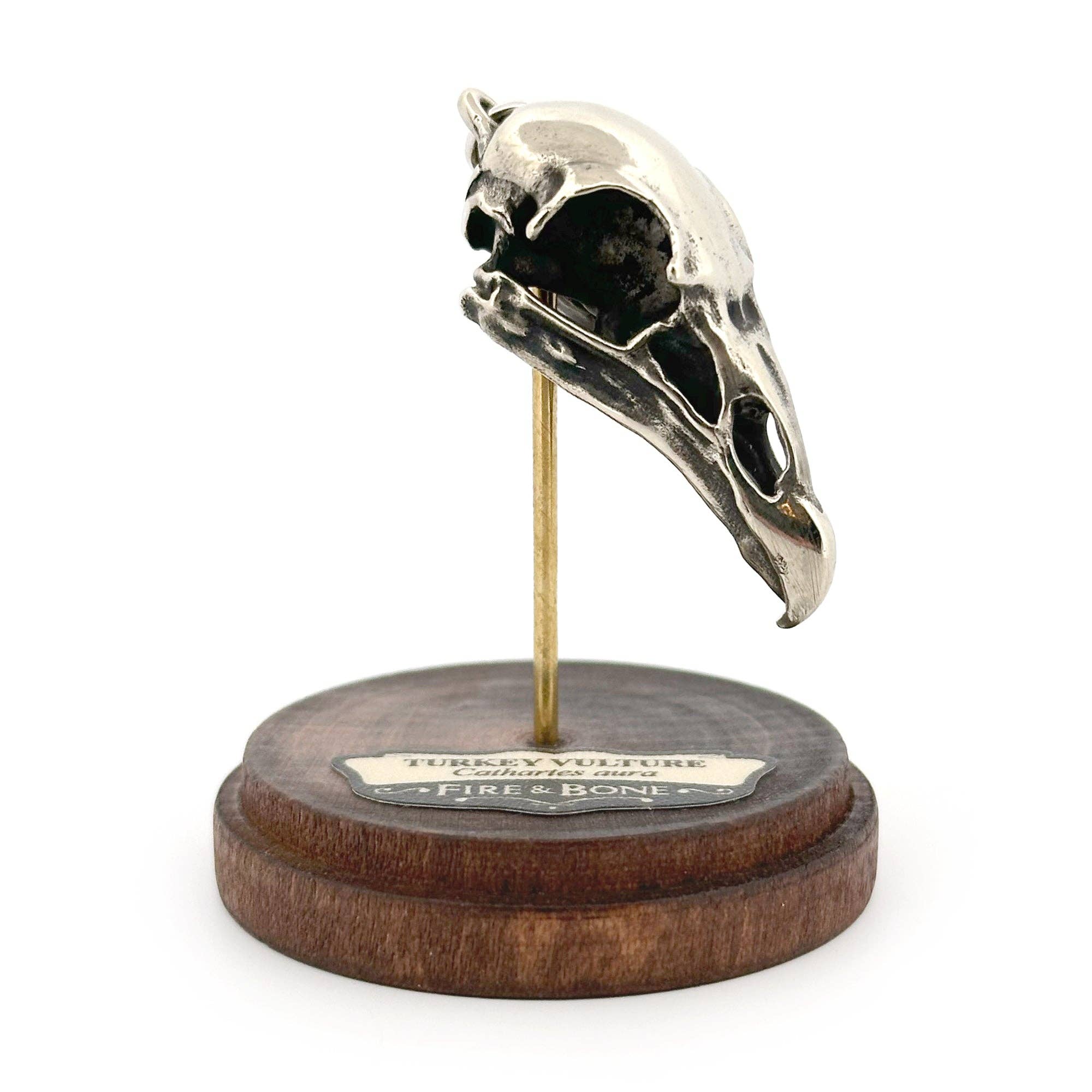 Turkey Vulture: None / White Bronze