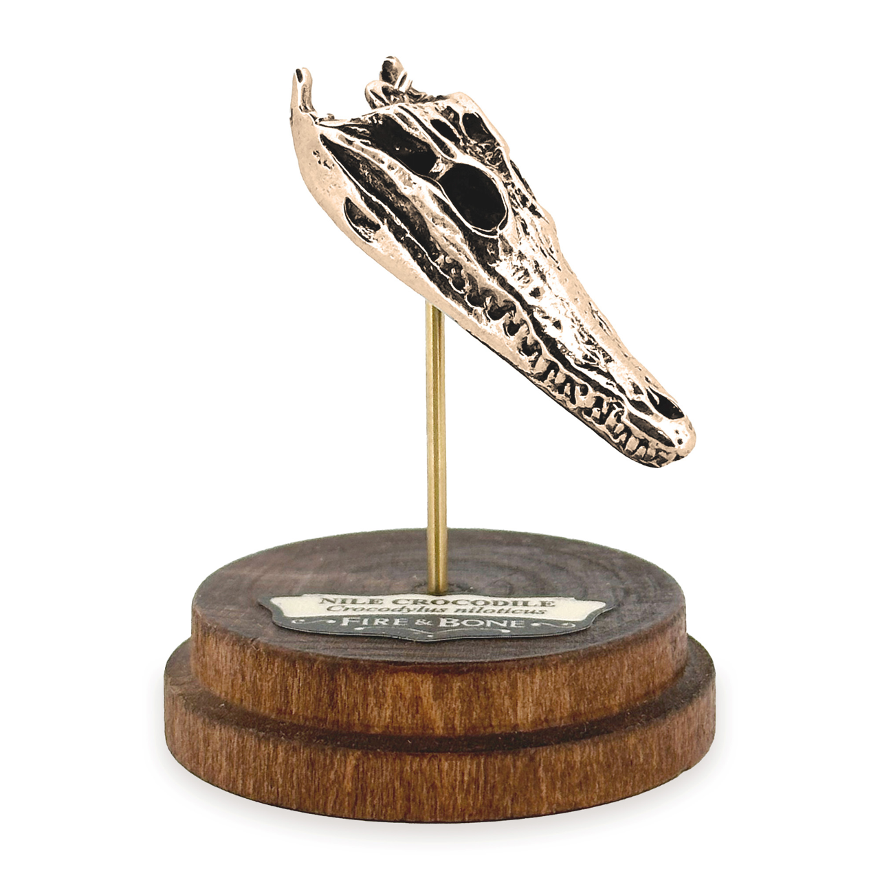 Nile Crocodile: None / Yellow Bronze