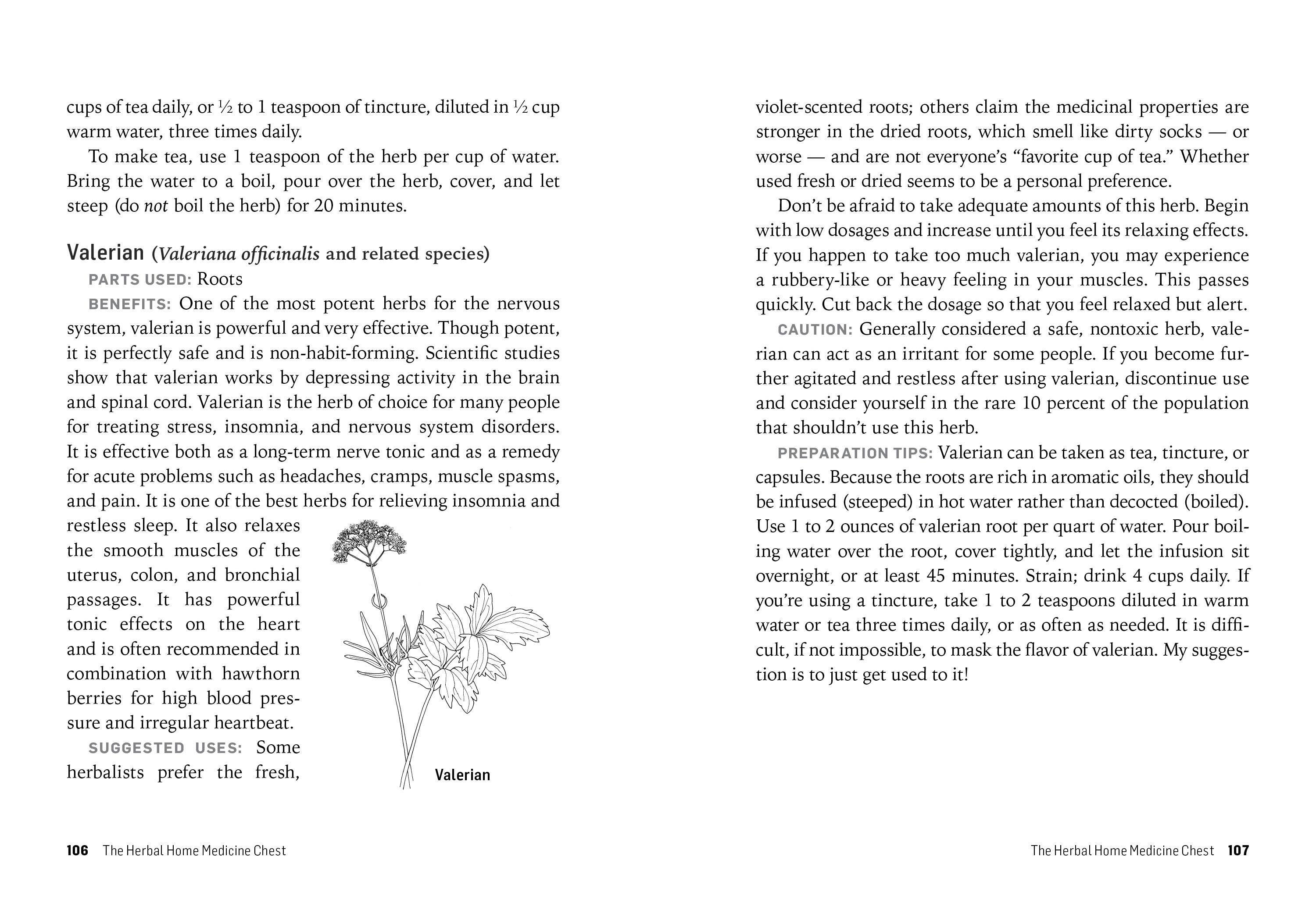 Herbs For Stress & Anxiety