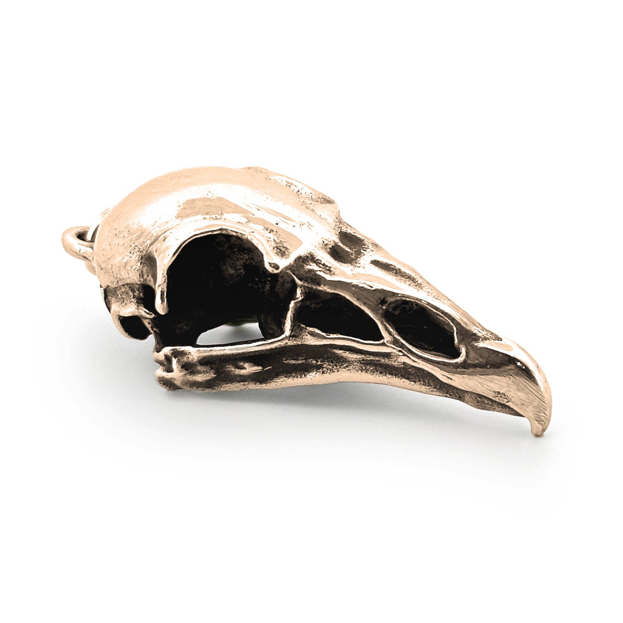 Turkey Vulture: None / White Bronze