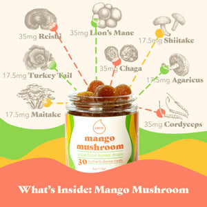 Mango Mushroom | Mushroom Honey Gummy | Immune & Pain Relief: 5 Count Pouch (Grab & Go Sample)