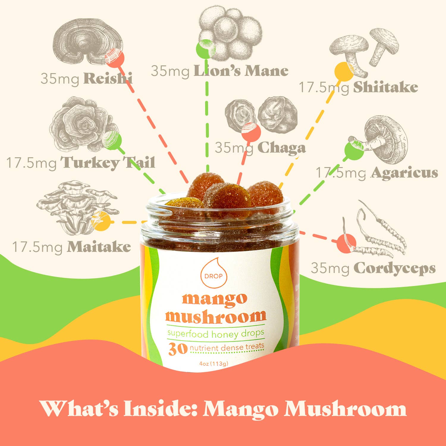 Mango Mushroom | Mushroom Honey Gummy | Immune & Pain Relief: 30 Count Jar (Standard Retail)