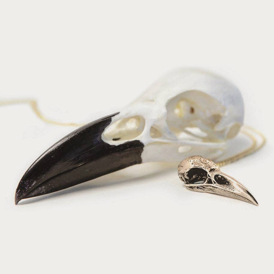 Raven: None / Sterling Silver