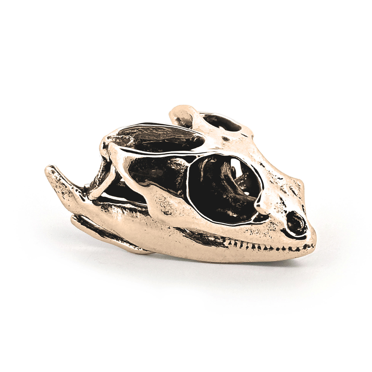 Bearded Dragon: None / White Bronze