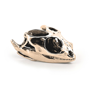 Bearded Dragon: None / White Bronze