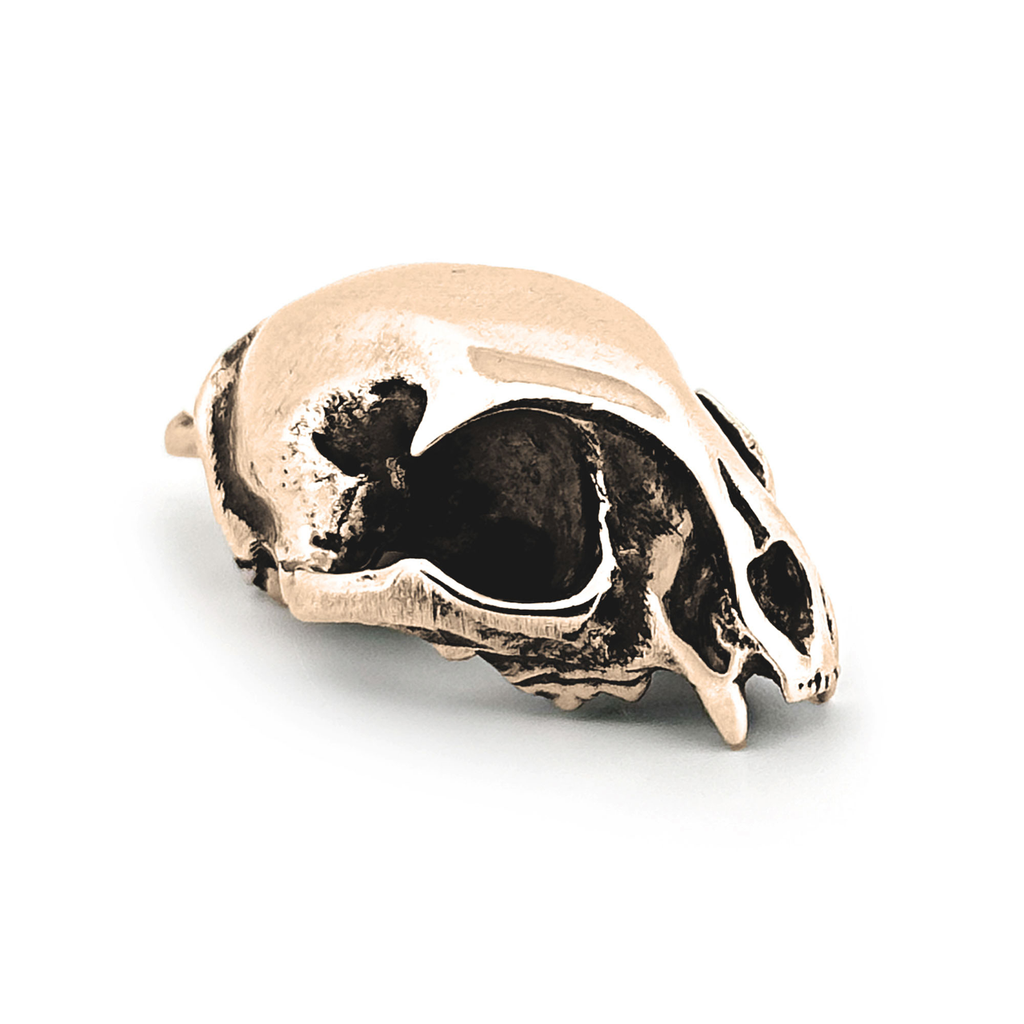 Bobcat: None / Yellow Bronze