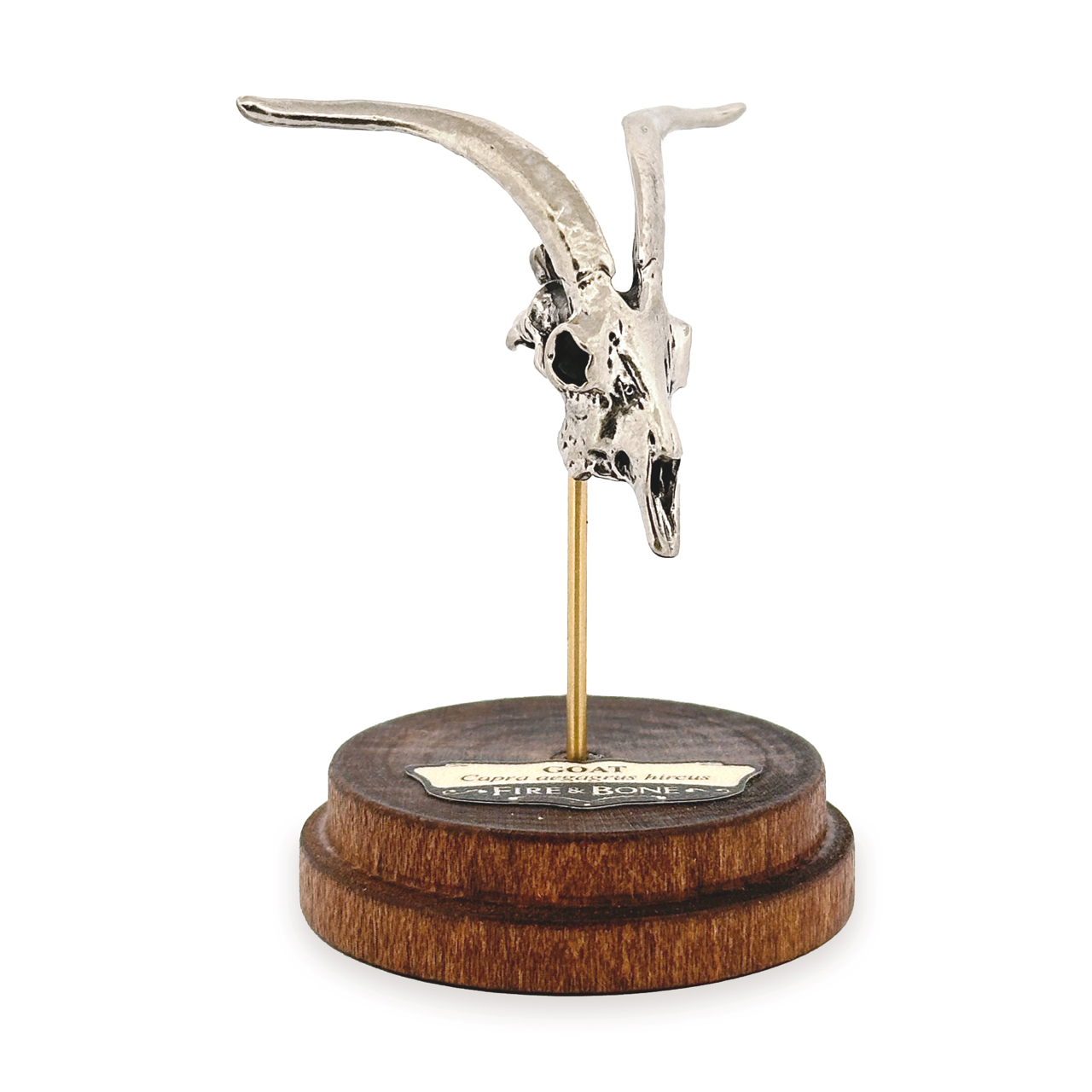 Goat: None / Yellow Bronze