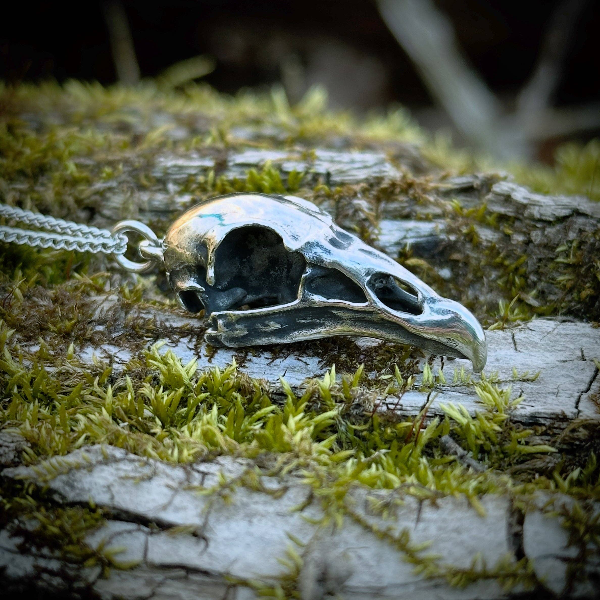Turkey Vulture: None / White Bronze