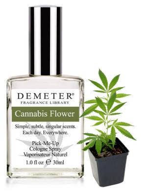 Cannabis Flower 1oz Cologne Spray